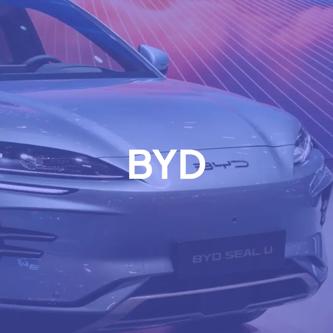 Byd Tang 2024