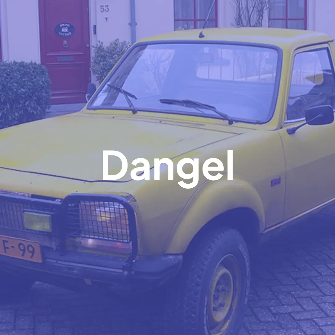 Dangel Berlingo Silhouette 2006