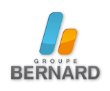 Logo du Voiture occasion Nissan Groupe Bernard Concessionnaire   VENISSIEUX
